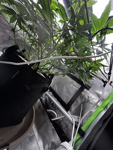 Growreport Bild 9