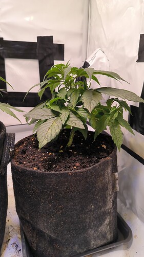Growreport Bild 11