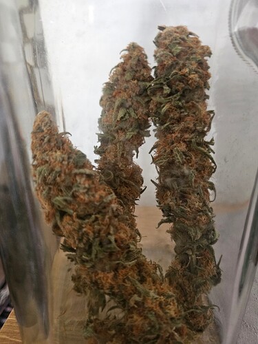 Growreport Bild 1