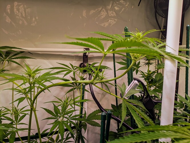 Growreport Bild 5
