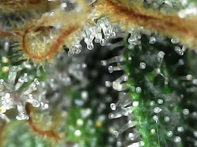 Photo_2025-04-21 13_10_11_895