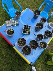 PXL_20250425_150032723