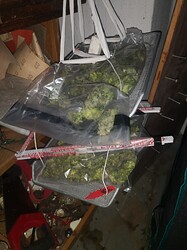 IMG_20250628_201124