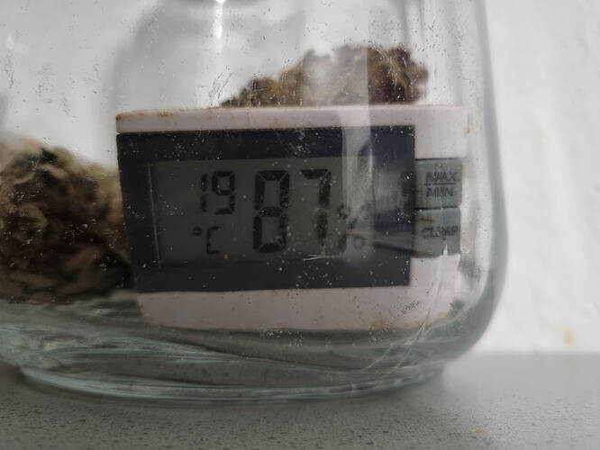 Ein Glas mit Cannabis-Buds und einem digitalen Thermometer, das 19.87 Grad Celsius anzeigt.