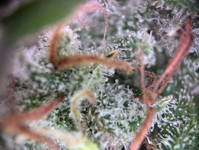 Growreport Bild 13