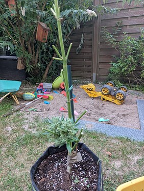 Growreport Bild 22