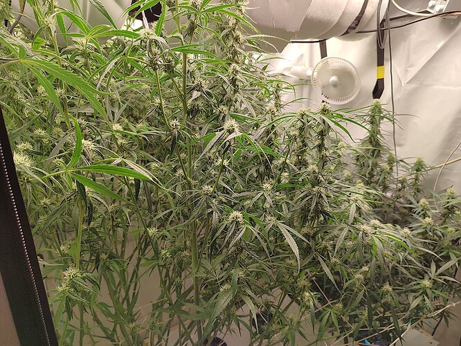 Growreport Bild 10