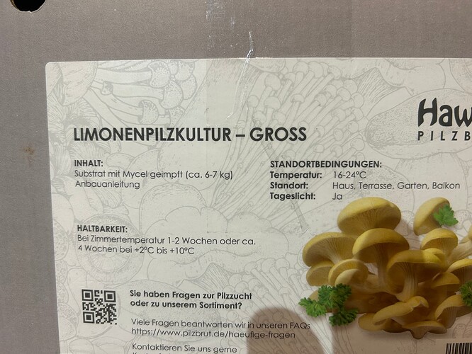 Growreport Bild 2
