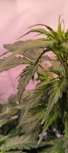Growreport Bild 33