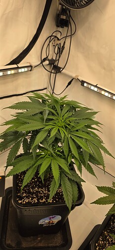 Growreport Bild 12