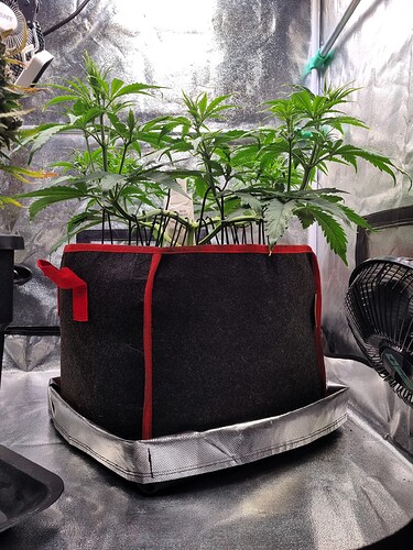 Growreport Bild 24