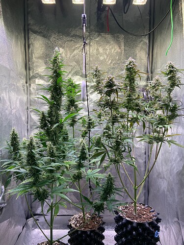 Growreport Bild 11