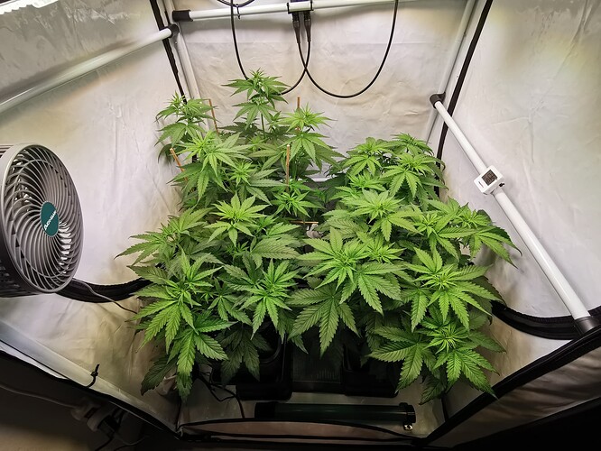 Growreport Bild 5