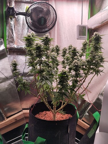 Growreport Bild 11