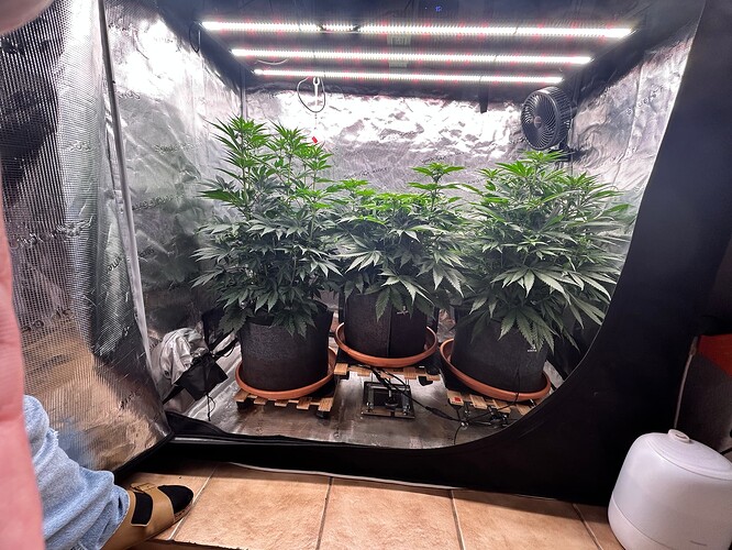 Growreport Bild 2
