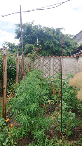 Growreport Bild 15