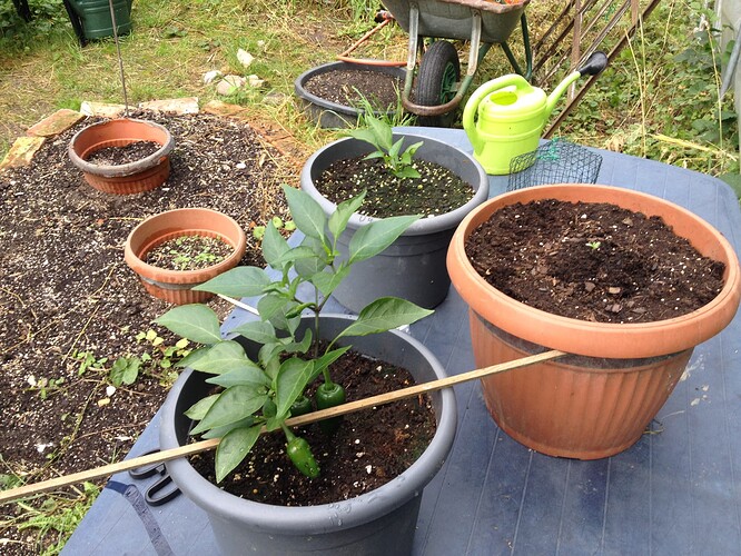 Growreport Bild 23