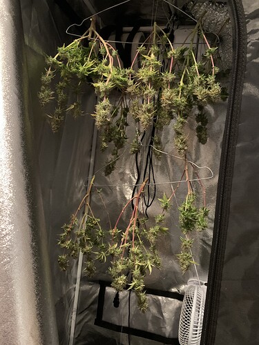 Growreport Bild 5