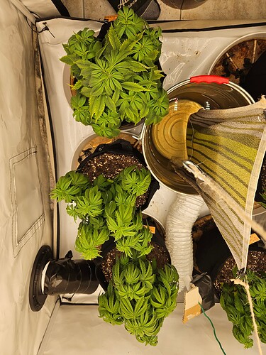 Growreport Bild 11