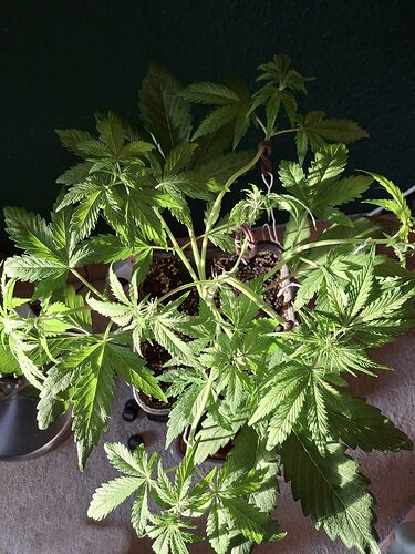 Growreport Bild 10