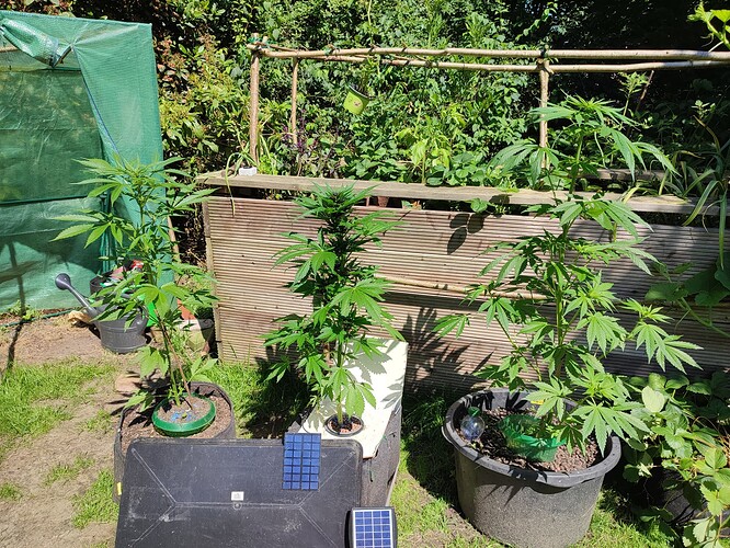 Growreport Bild 12