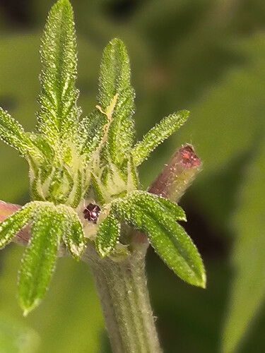 Growreport Bild 11
