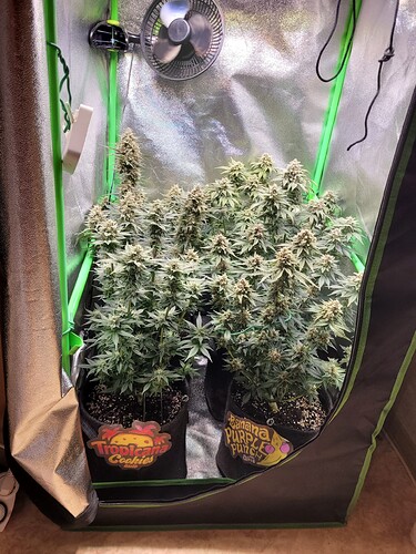 Growreport Bild 11
