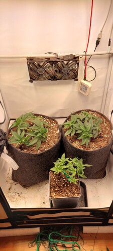 Growreport Bild 1