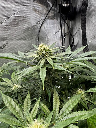 Growreport Bild 3