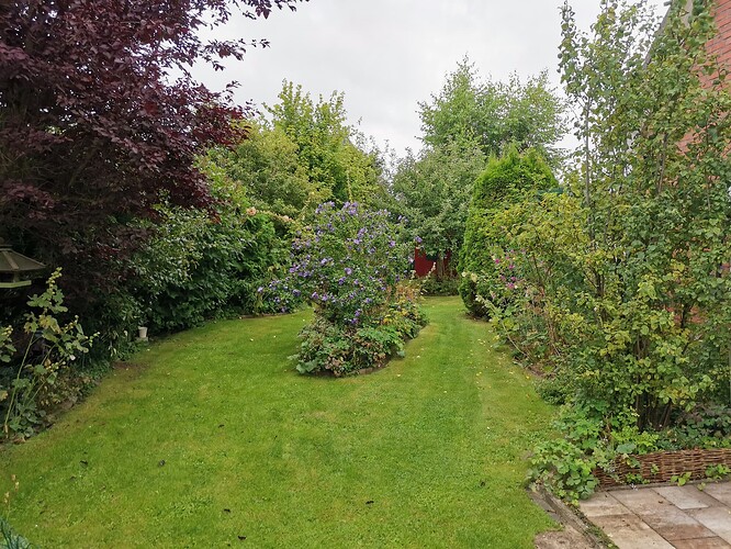 Garten (10)
