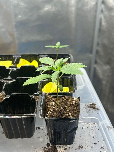 WhatsApp Image 2024-07-28 at 15.55.58