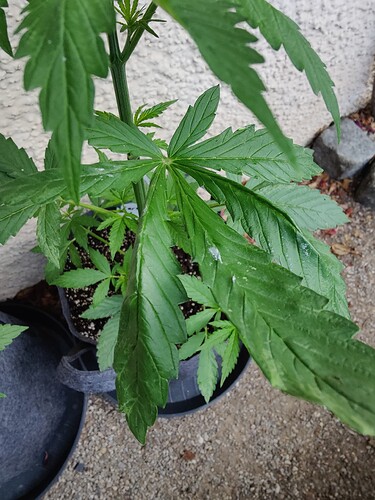 Growreport Bild 9