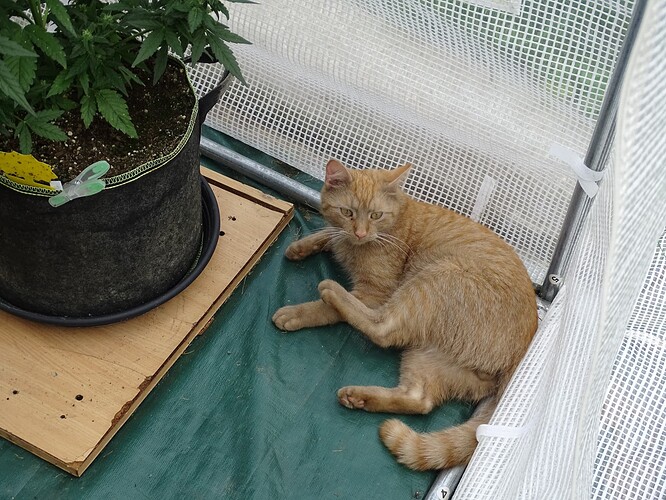 Growreport Bild 2