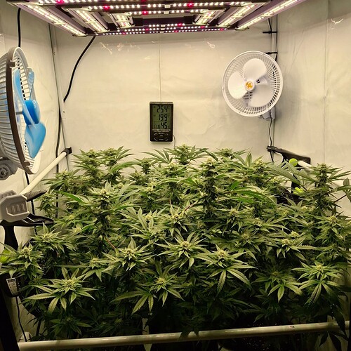 475463452_122166060308293599_5820893604187848892_n