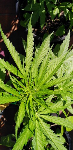 Growreport Bild 12