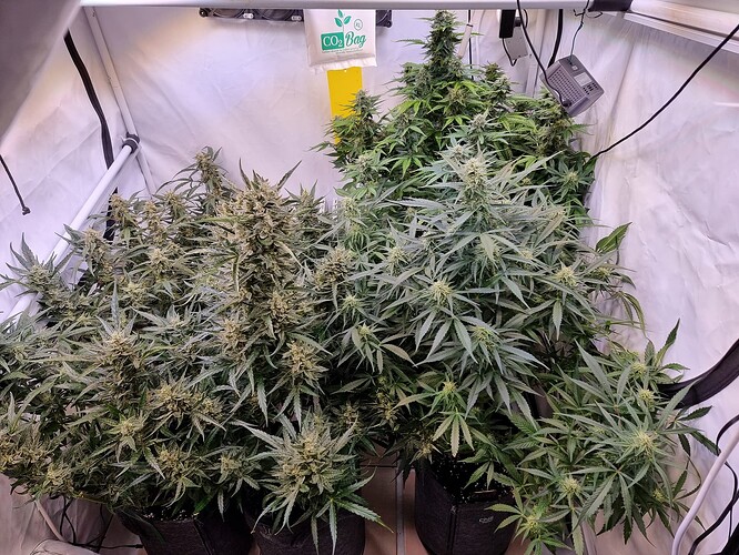 Growreport Bild 12