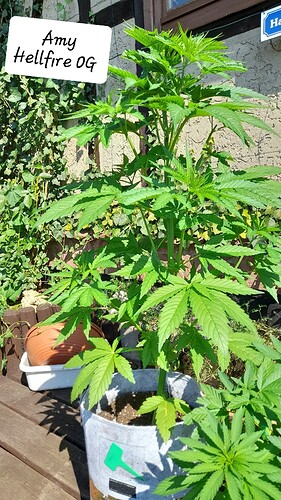 Growreport Bild 12