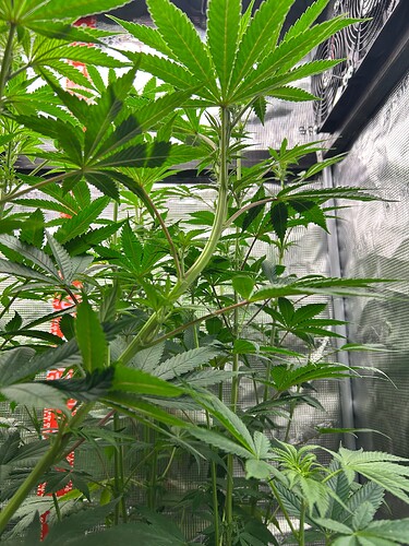 Growreport Bild 4