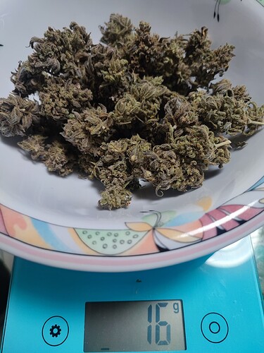 Growreport Bild 5