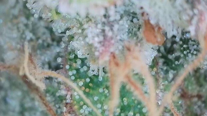 Growreport Bild 16