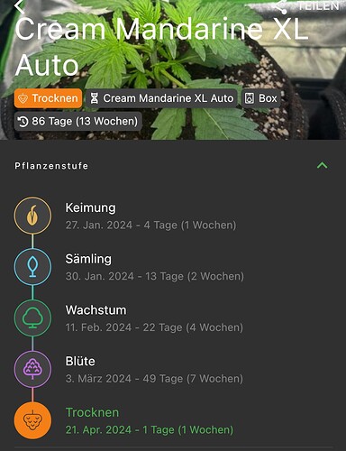 Growreport Bild 4