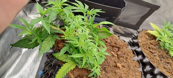 IMG_20251002_091911492_HDR