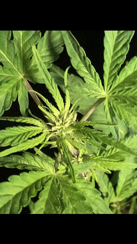 Growreport Bild 9