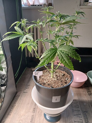 Growreport Bild 7