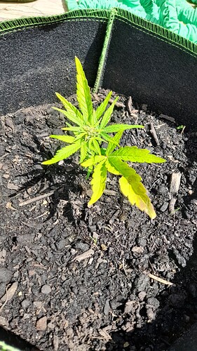 Growreport Bild 30