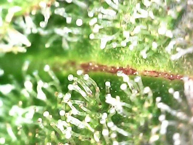 Photo_2024-04-21 11_35_11_689