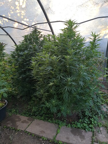 2025-10-02-18-15-51-460