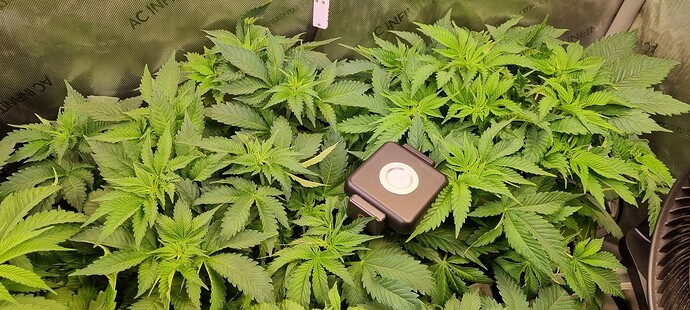 Growreport Bild 2