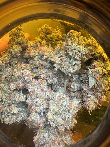 Growreport Bild 47