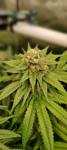 Growreport Bild 16